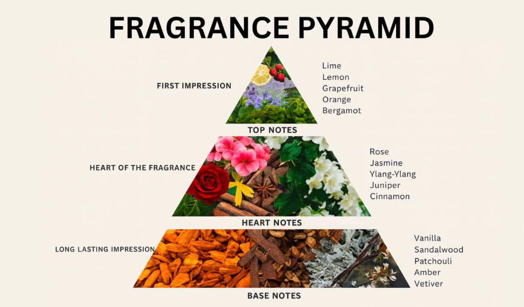 How Many Ingredients Are in a Perfume? Unveiling the Complex Formula – Ggema