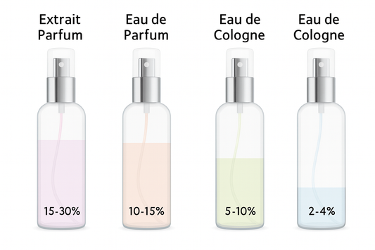 Perfume, EDP, EDT, or Cologne? A Simple Guide to Fragrance Concentrations