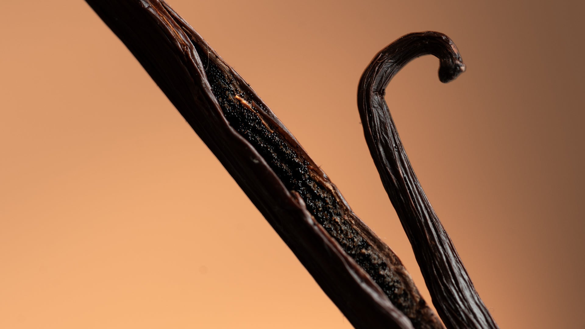 What Are Fragrance Notes? The Complete Guide to Top, Middle, and Base Notes