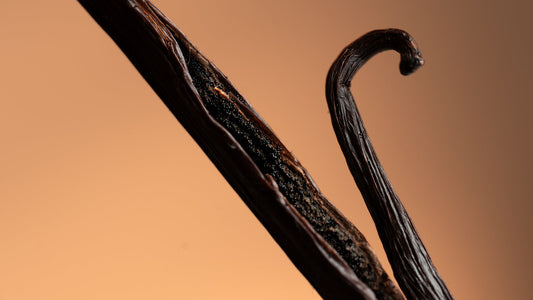 What Are Fragrance Notes? The Complete Guide to Top, Middle, and Base Notes