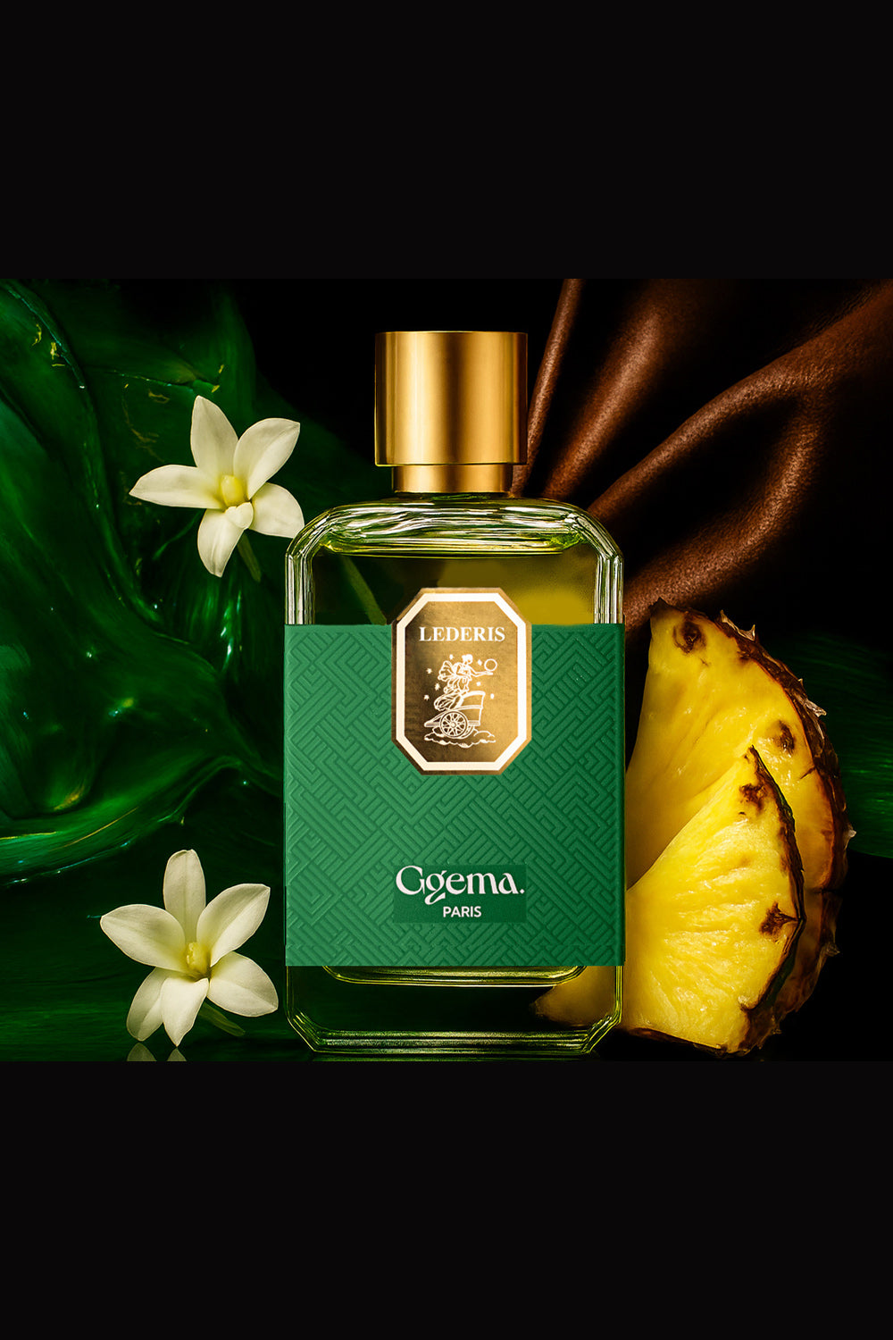 Fragrance Families Explained: What Do Floral, Woody, Amber & Fresh Perfumes Actually Smell Like?